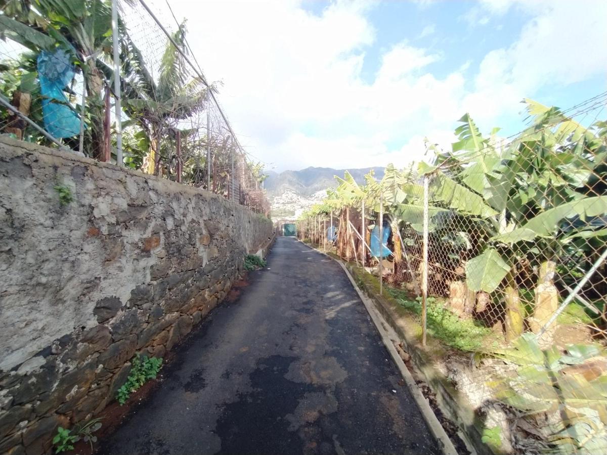 Casa Alencastre Villa Funchal  Luaran gambar